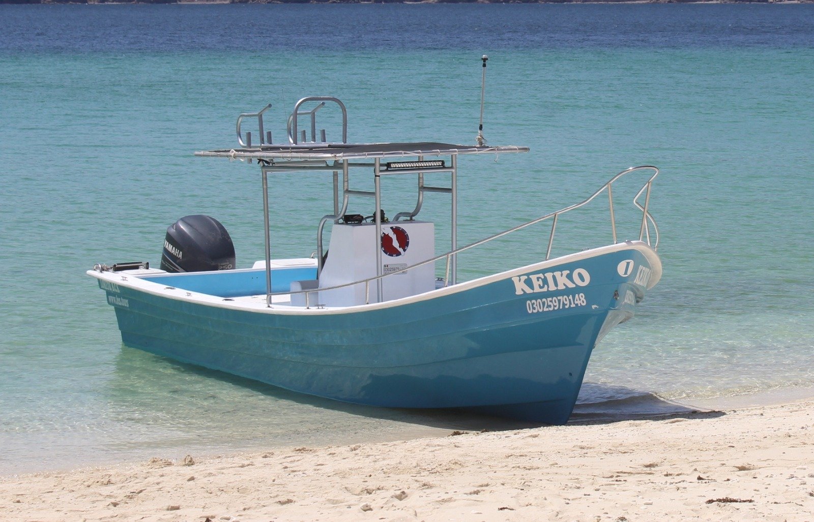 A breathtaking, photorealistic 8K image showcasing a BCS Eco Tours experience. The scene: crystal-clear turquoise waters of the Sea of Cortez meeting a pristine, white-sand beach. A small group of kayakers, led by a guide with a sun hat, paddles along the shoreline. In the background, dramatic desert mountains rise, dotted with cacti and unique rock formations. The lighting is golden hour, casting long shadows and warm hues across the landscape. Focus is sharp on the kayakers, with a slight depth-of-field blurring of the distant mountains. The camera angle is slightly elevated, providing a wide view of the scene. Textures are highly detailed: the ripples in the water, the grains of sand, the rough bark of the cacti. Style: similar to a National Geographic photograph, emphasizing natural beauty and authentic adventure. Props: kayaks, paddles, sun hats, binoculars. Hyperrealistic rendering with vibrant, yet natural colors.